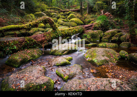 Becky falls en couleurs d'automne, Dartmoor National Park, Devon, UK Banque D'Images