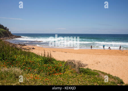 Bungan beach est une plage de surf populaire sur les plages du nord de Sydney, Nouvelle Galles du Sud, Australie Banque D'Images