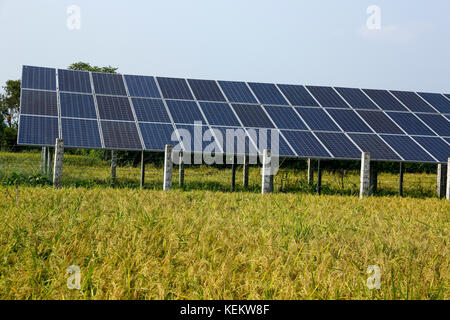 Installation solaire pour l'irrigation à une rizière dans kustia, au Bangladesh. Banque D'Images