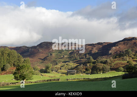 Lake District, Cumbria - Cowrake Head et les collines voisines sur High Rigg, St John's dans la Vale, un peu au sud-est de Keswick Banque D'Images