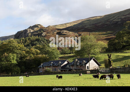 Lake District, Cumbria - Castle Rock and Lodge dans la Vale, à Legburthwaite, St John's dans la Vale, un peu au sud-est de Keswick Banque D'Images