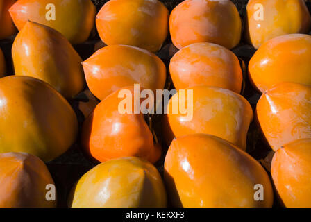 Persimmons fraîchement récolté prêt à la vente Banque D'Images