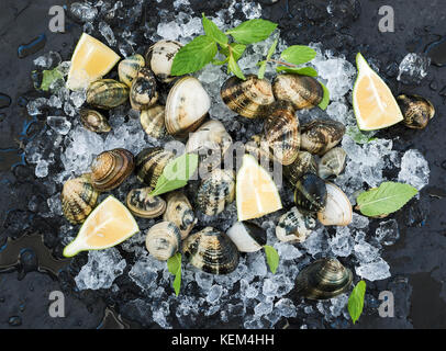 Palourdes crues avec du citron frais, des herbes et épices sur glace ébréchée sur toile ardoise foncé Banque D'Images