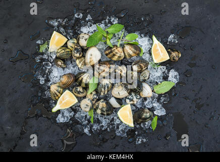 Palourdes crues avec du citron frais, des herbes et épices sur glace ébréchée sur toile ardoise foncé Banque D'Images