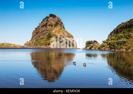 Le Rocher du lion, Piha, région d'Auckland, Nouvelle-Zélande, reflétant dans l'eau. piha Banque D'Images