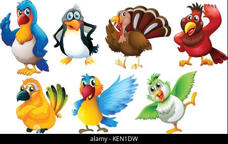 Illustration des différentes espèces d'oiseaux sur fond blanc Illustration de Vecteur