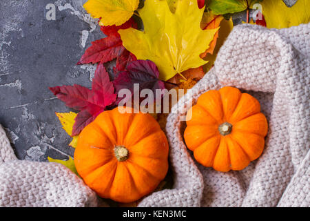 Citrouilles thanksgiving avec les feuilles de l'automne dans de confortables couvertures tricotées close up Banque D'Images