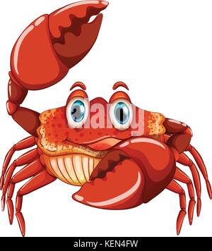 Illustration d'un crabe close up Illustration de Vecteur