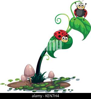 Illustration d'une plante avec des bogues sur un fond blanc Illustration de Vecteur