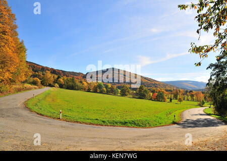 Dans une courbe sinueuse route de montagne dans la montagne forêt Automne Banque D'Images