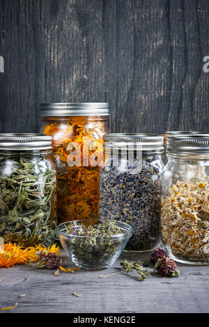 Diverses herbes médicinales séchées et de tisanes dans plusieurs pots de verre sur fond en bois gris Banque D'Images