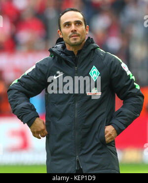 Cologne, Allemagne 22 octobre 2017, Bundesliga journée 9, 1. FC Koeln - SV Werder Brême : entraîneur Alexander Nouri (Brême). Crédit : Juergen Schwarz/Alamy Live News Banque D'Images