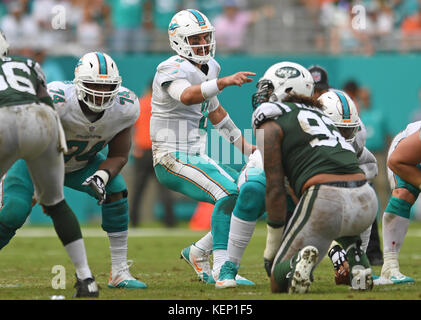 Miami Gardens, Floride, États-Unis. 22 octobre 2017. Matt Moore (8), quarterback des Dolphins de Miami, lance l'attaque tard dans le match contre les jets. Miami Dolphins v. New York jets. Hard Rock Stadium, Miami Gardens, Floride. 22/10/17. Photographe Jim Rassol crédit : Sun-Sentinel/ZUMA Wire/Alamy Live News Banque D'Images