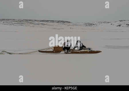 Inukjuak, Nunavik, Québec, Canada. 31 mars 2017. L'équipe gagnante à son arrivée à Inukjuak sur la baie d'Hudson. Depuis 2001, Ivakkak est un événement qui honore les chiens Husky, tous les deux ans, la course traverse plusieurs villages du Nunavik. Les chiens Husky ont une longue tradition de vivre en étroite collaboration avec l'homme. Au siècle dernier, ils aidaient en tant que gardiens indispensables contre les prédateurs, et en l'absence de GPS, ils pouvaient très facilement trouver leur chemin dans la toundra. Crédit : Yves Choquette/SOPA/ZUMA Wire/Alamy Live News Banque D'Images