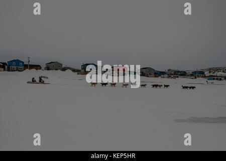 Inukjuak, Nunavik, Québec, Canada. 31 mars 2017. Un des membres de l'équipe arrivant à Inujuak. Depuis 2001, Ivakkak est un événement qui honore les chiens Husky, tous les deux ans, la course traverse plusieurs villages du Nunavik. Les chiens Husky ont une longue tradition de vivre en étroite collaboration avec l'homme. Au siècle dernier, ils aidaient en tant que gardiens indispensables contre les prédateurs, et en l'absence de GPS, ils pouvaient très facilement trouver leur chemin dans la toundra. Crédit : Yves Choquette/SOPA/ZUMA Wire/Alamy Live News Banque D'Images