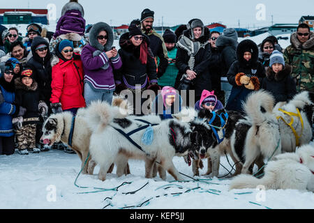 Inukjuak, Nunavik, Québec, Canada. 31 mars 2017. Pendant que les chiens Husky se reposent entre les courses, des gens curieux les entourent. Depuis 2001, Ivakkak est un événement qui honore les chiens Husky, tous les deux ans, la course traverse plusieurs villages du Nunavik. Les chiens Husky ont une longue tradition de vivre en étroite collaboration avec l'homme. Au siècle dernier, ils aidaient en tant que gardiens indispensables contre les prédateurs, et en l'absence de GPS, ils pouvaient très facilement trouver leur chemin dans la toundra. Crédit : Yves Choquette/SOPA/ZUMA Wire/Alamy Live News Banque D'Images