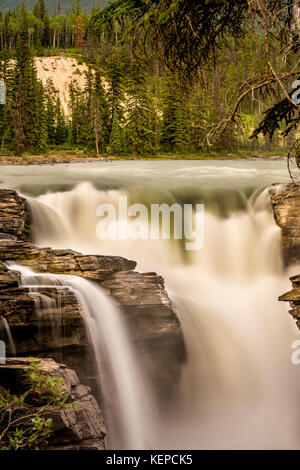 Les chutes Athabasca situé dans le parc national Jasper, Alberta Canada. Banque D'Images