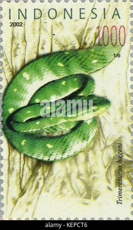Trimeresurus hageni 2002 Indonésie stamp Banque D'Images