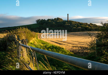 Vue sur colline Hopetoun monument sur Byres Hill, East Lothian, Scotland, UK, à travers un champ moissonné en basse lumière du soleil de l'après-midi avant le crépuscule Banque D'Images