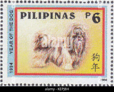 Shih Tzu Canis lupus familiaris Philippines 2004 Banque D'Images