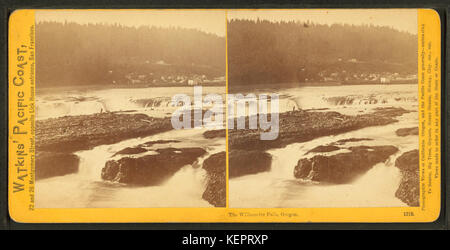 La Willamette Falls, Oregon, par Carleton Watkins, E., 1829, 1916 Banque D'Images