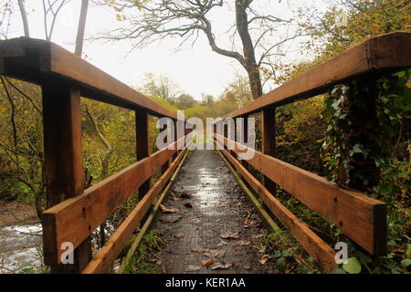 Lynn falls, sur l'ouest de l'eau lugton dalry, North Ayrshire, Ecosse avec les arbres d'automne en arrière-plan. Banque D'Images