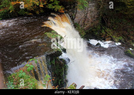 Lynn falls, sur l'ouest de l'eau lugton dalry, North Ayrshire, Ecosse avec les arbres d'automne en arrière-plan. Banque D'Images