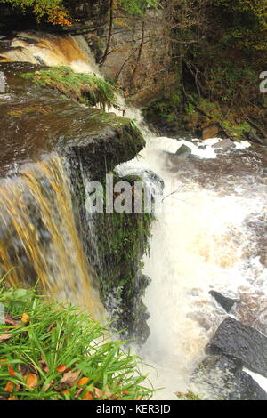 Lynn falls, sur l'ouest de l'eau lugton dalry, North Ayrshire, Ecosse avec les arbres d'automne en arrière-plan. Banque D'Images