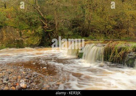 Lynn falls, sur l'ouest de l'eau lugton dalry, North Ayrshire, Ecosse avec les arbres d'automne en arrière-plan. Banque D'Images