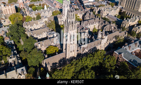 Campus de l'université de Yale, New Haven, Connecticut, USA Banque D'Images