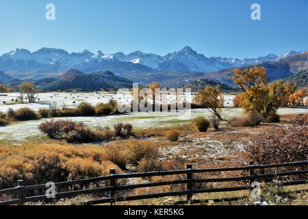 Le Colorado à l'automne avec les peupliers d'or Banque D'Images