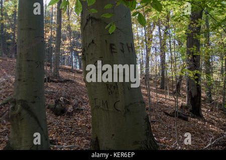 Walnut Street park off exploration chemin Banque D'Images