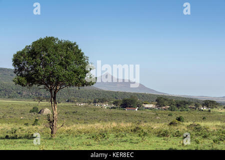 Vue vers la porte, Arusha NP Momela, Tanzanie Banque D'Images