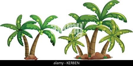 Illustration de cocotiers Illustration de Vecteur