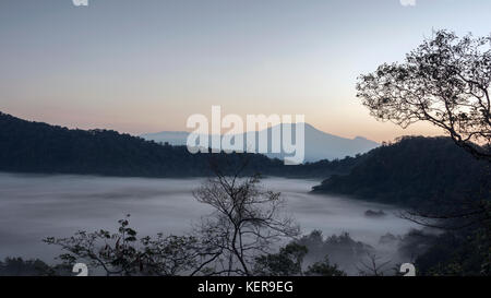 Cratère Ngurdoto en remuant, la brume et le Kilimandjaro au lever du soleil, Arusha NP, Tanzanie Banque D'Images