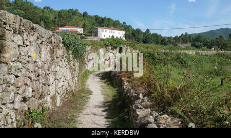 Sentier de pèlerin entre Barcelos et Ponte de Lima sur le Camino de Santiago, Portugal Banque D'Images