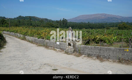 Sentier de pèlerin entre Barcelos et Ponte de Lima sur le Camino de Santiago, Portugal Banque D'Images