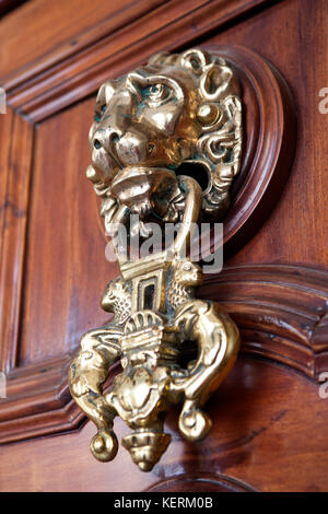 Lion heurtoirs de porte sur la porte de l'Ancien hôtel de ville de Cadix une ancienne ville portuaire dans le sud-ouest de l'Espagne Banque D'Images