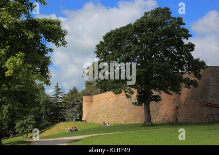 Château fortezza albornoz je, le parc Parco della Resistenza, Urbino, Marches, Italie Banque D'Images