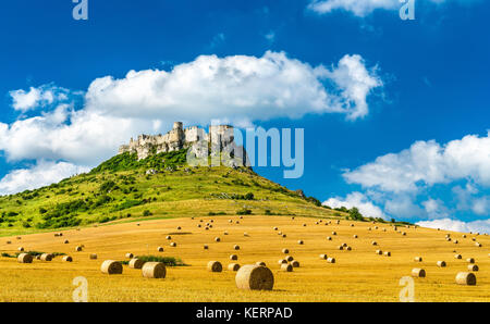 Spissky Hrad et vue d'un champ avec des balles en Slovaquie, l'Europe centrale Banque D'Images