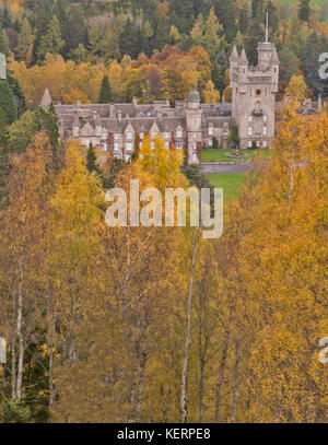 Le CHÂTEAU DE BALMORAL CRATHIE ABERDEENSHIRE ECOSSE entouré d'ARBRES DE BOULEAU DORÉ AVEC DES FEUILLES DE COULEURS D'AUTOMNE Banque D'Images