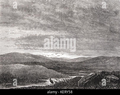 Le champ de Culloden, 16 avril 1746 Banque D'Images