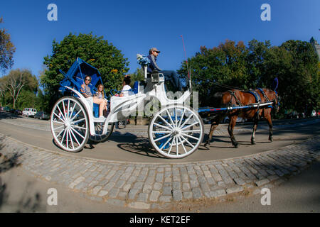 Les touristes en calèche dans la ville de New York's Central Park. Banque D'Images