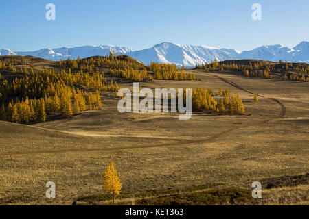 Vue sur montagnes de l'Altaï et la steppe kurai en république de l'Altaï, en Russie. Banque D'Images