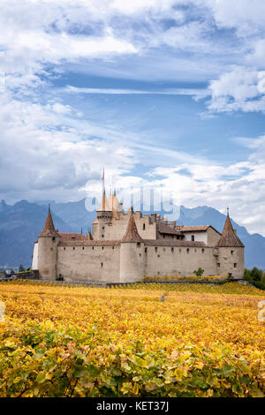 Aigle château entouré de vignes, Aigle, Vaud, Suisse Banque D'Images