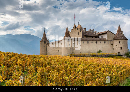 Aigle château entouré de vignes, Aigle, Vaud, Suisse Banque D'Images