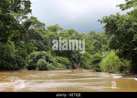 Rancho La Pavona à Tortuguero, transfert de la rivière Rio Suerte, province de Limón, Costa Rica, la mer des Caraïbes, l'Amérique centrale Banque D'Images