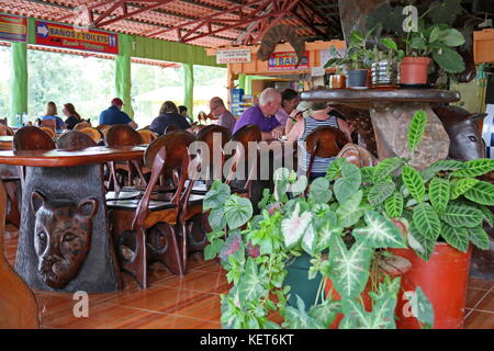 Café à Rancho La Pavona à Tortuguero, transfert de la rivière Rio Suerte, province de Limón, Costa Rica, la mer des Caraïbes, l'Amérique centrale Banque D'Images