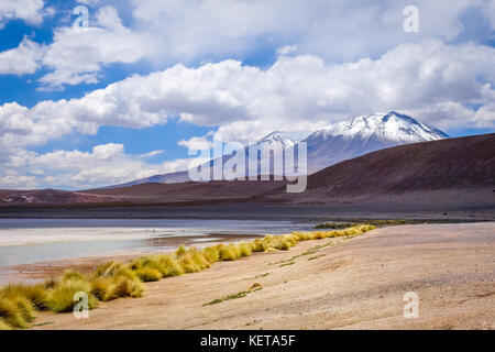 Laguna honda au sud lipez altiplano reserva Eduardo Avaroa, Bolivie Banque D'Images