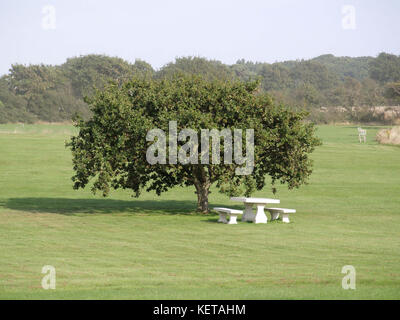 Banc ombragé par des arbres dans la zone sur domaine privé du passeurs lane, bosham, Hampshire, Royaume-Uni Banque D'Images